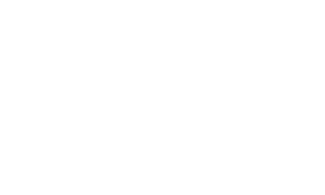 Logo PUIG