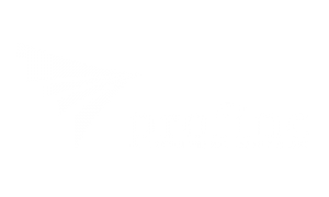 Logo Profine