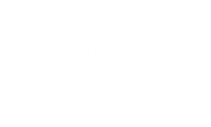 Logo Timocom