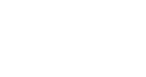 Logo system alliance europe