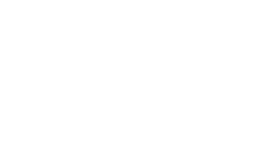 Logo IDT Dichtungen